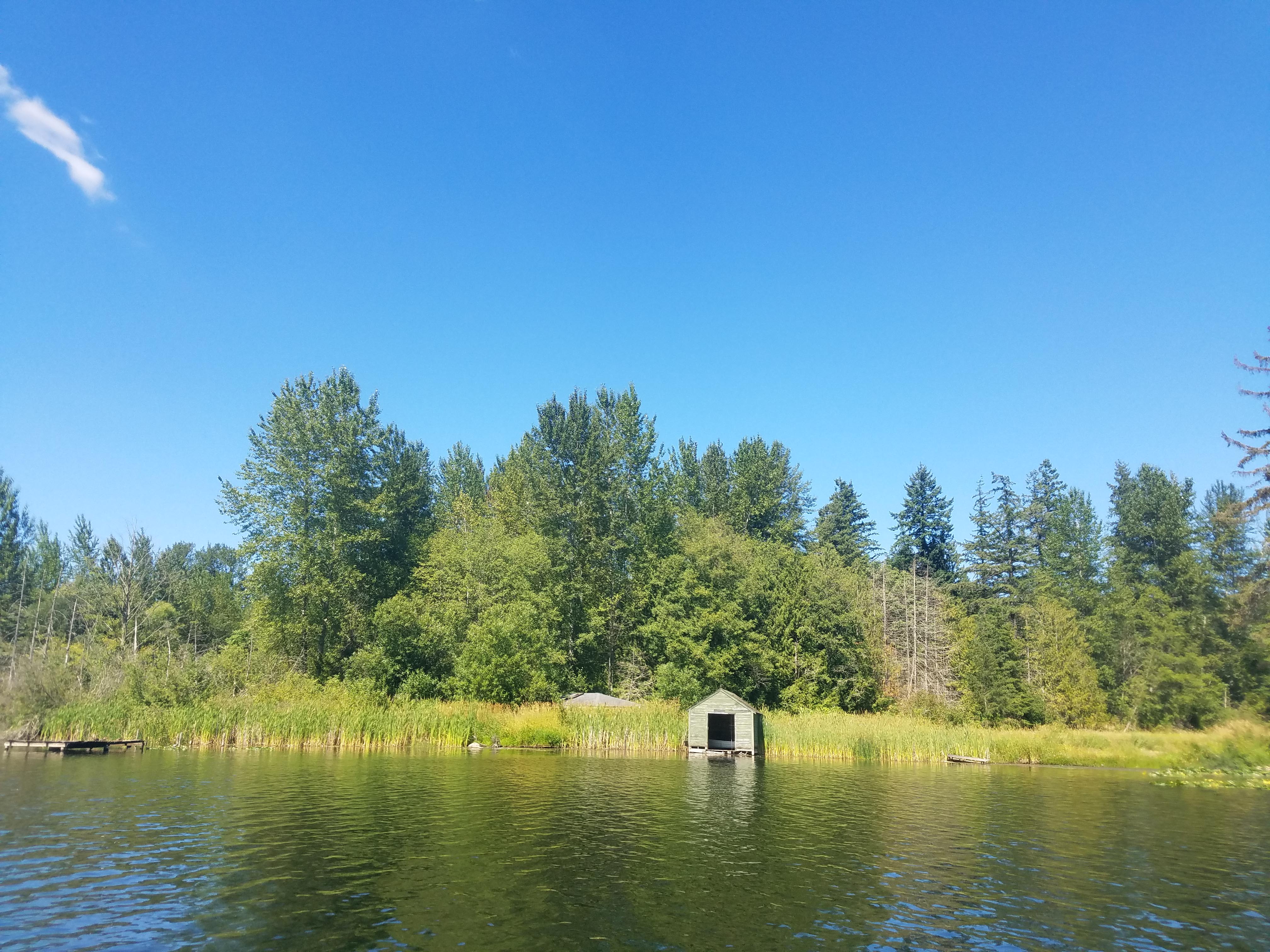 SUP on Cottage Lake in Woodinville, Washington Anchored In the