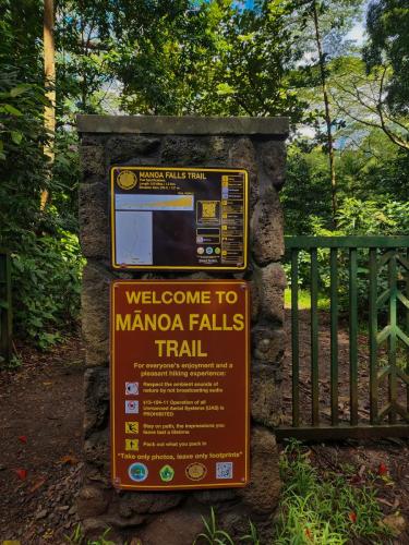 23.10.24 g manoa-falls-hike b 111710