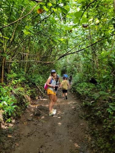 23.10.24 g manoa-falls-hike d 11.43.43