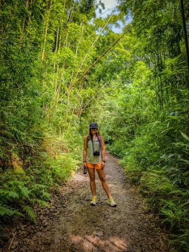 23.10.24 g manoa-falls-hike d 11.52.10