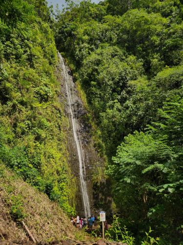 23.10.24 g manoa-falls-hike e 120301