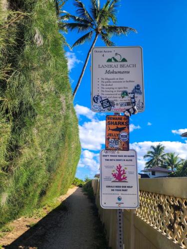 23.10.28 c Lanikai-Paddle-to-Island a 092046