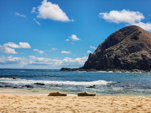 23.10.28 c Lanikai-Paddle-to-Island f 120206