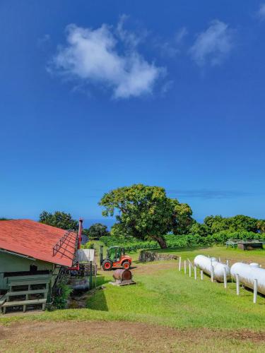 23.10.29 d greenwell-coffee-farm-tour c 11.32.37