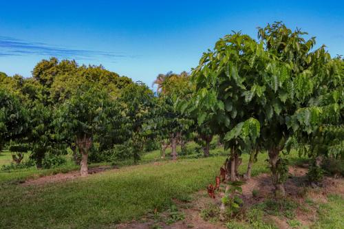 23.10.29 d greenwell-coffee-farm-tour d IMG 5950