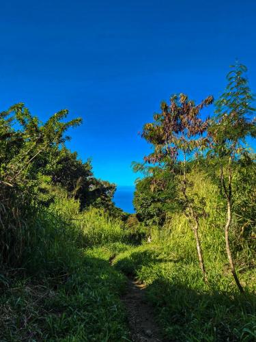 23.10.30 b Kaawaloa-Hike-to-Snorkle b 092834