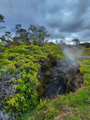 23.10.31 d volcano-national-park f 14.39.49