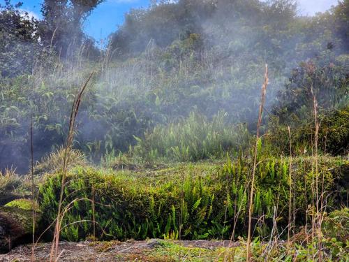 23.10.31 d volcano-national-park f 143047