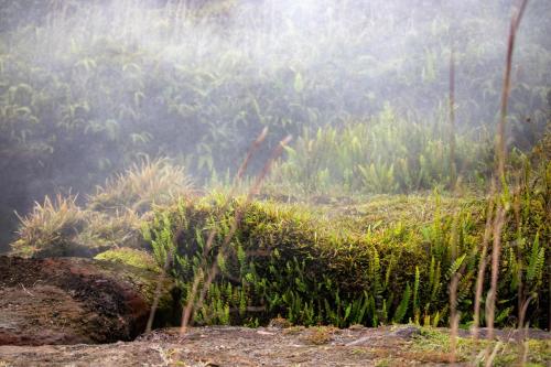 23.10.31 d volcano-national-park f IMG 6167