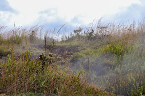 23.10.31 d volcano-national-park f IMG 6174